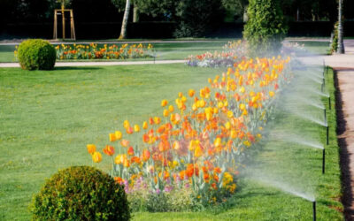 Do Smart Irrigation Systems Save on Costs & Energy?