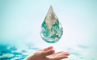 Maximizing Water Efficiency: Strategies & Benefits