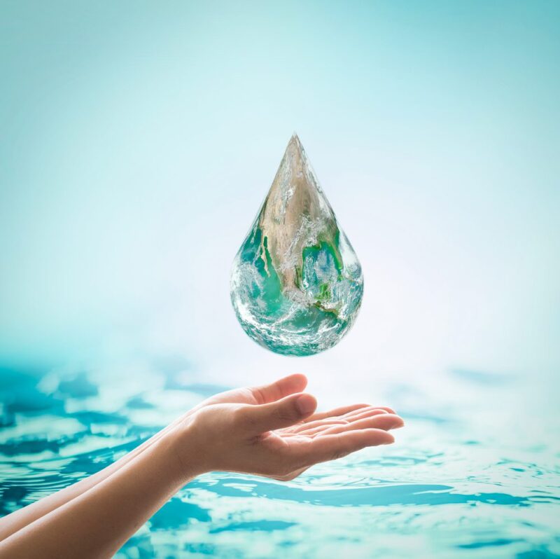 shutterstock_296202596-e1730930192933