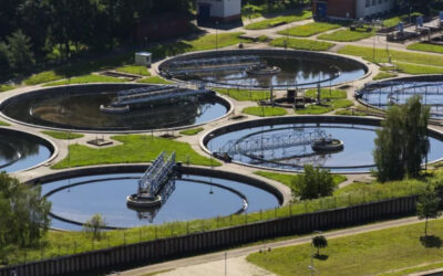 Industry Experts: COO Thoughts on Sustainability & Energy in Utility Management